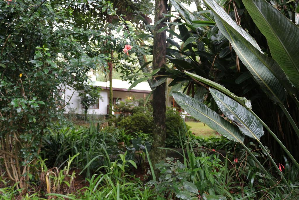Softwaters Guesthouse Cottages Louis Trichardt Exteriör bild